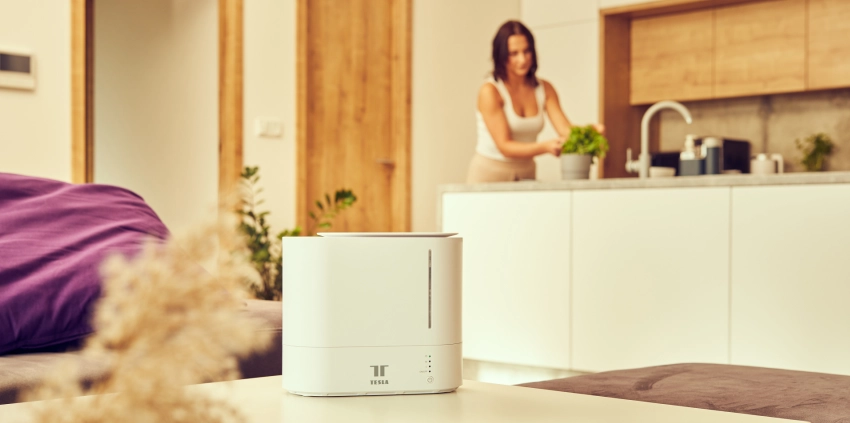 Tesla Smart Humidifier